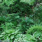 Bed & Breakfast Freiberg 3* פרייברג