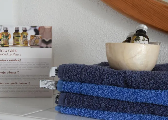 فندق مبيت وإفطار Bed & Breakfast Freiberg 3*