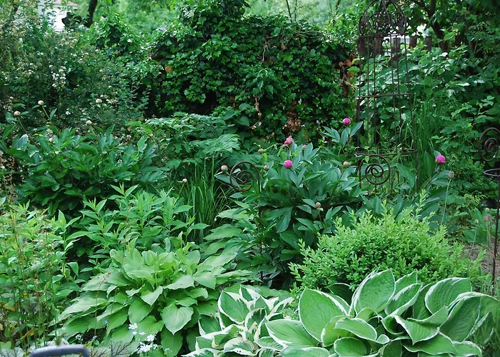 Bed & Breakfast Freiberg 3* فرايبرغ