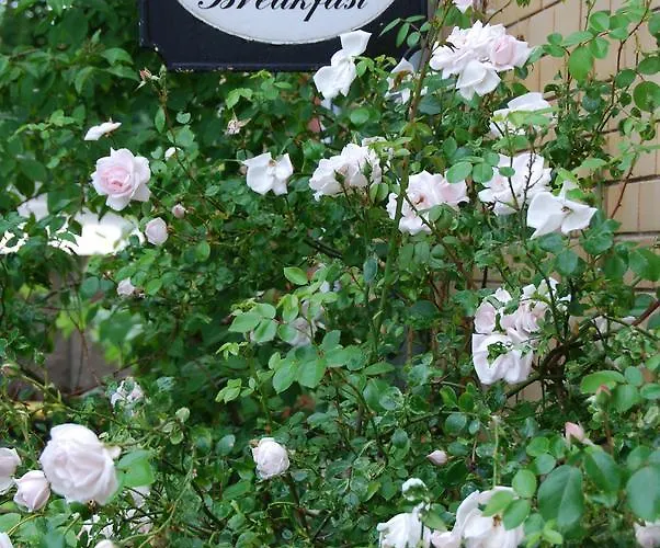 Bed & Breakfast Freiberg فندق مبيت وإفطار فرايبرغ